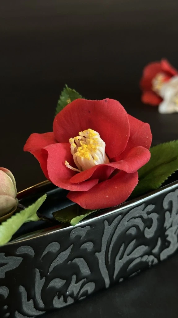 椿の花芯と6枚の花弁のアップ